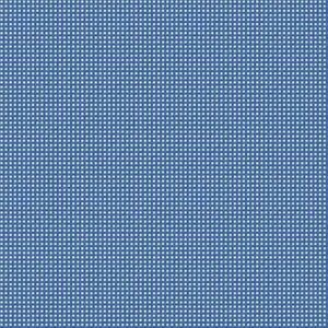 bleuet