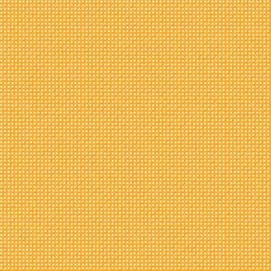 bouton d'or