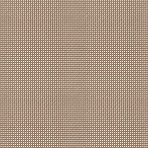 noisette