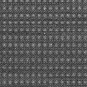 terre noire